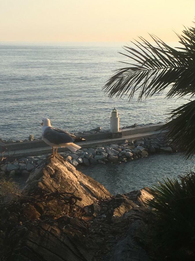 Casetta Del Marinaio カモーリ エクステリア 写真